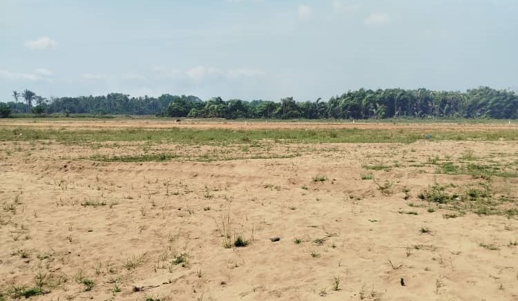 Sous ground portrait