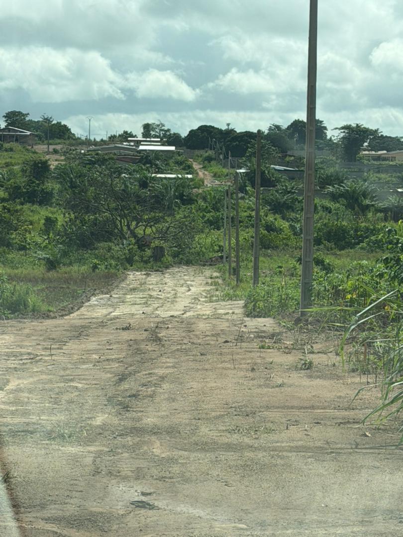 Terrain viabilisé à Bonzi - Yamoussoukro